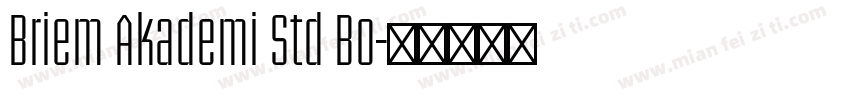 Briem Akademi Std Bo字体转换